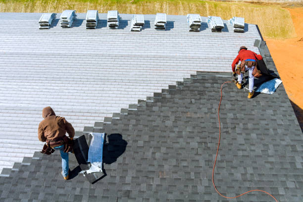 Best Roof Gutter Cleaning  in Bull Valley, IL